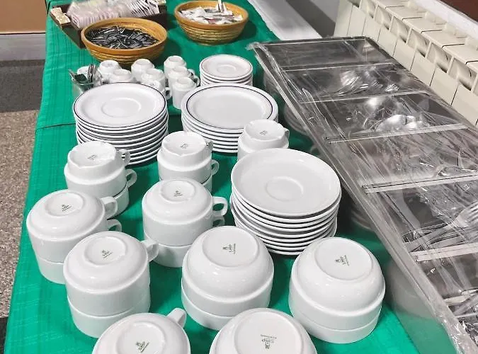 Alojamento Thermal Romano Bed & Breakfast São Pedro do Sul