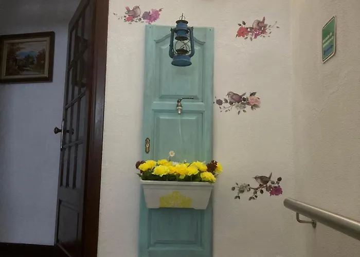 Bed & Breakfast Alojamento Thermal Romano São Pedro do Sul